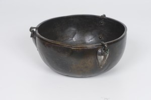 York Museums Trust (Yorkshire Museum)